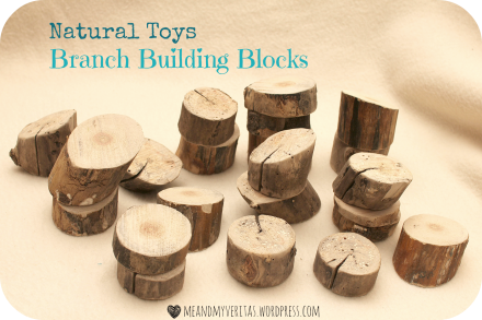 Natural Toys: Waldorf Branch Building Blocks