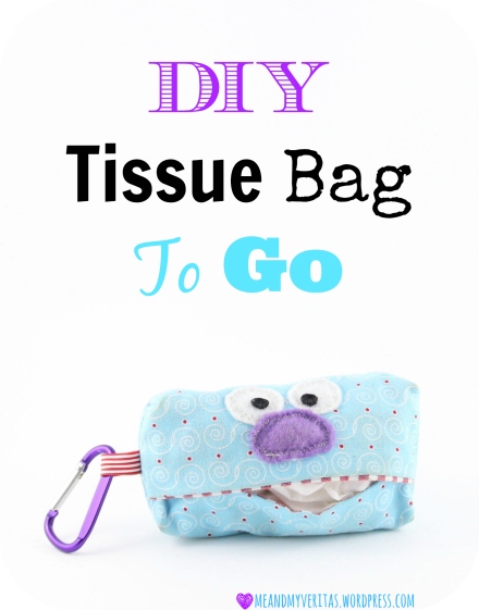 DIY Tissue Bag To Go